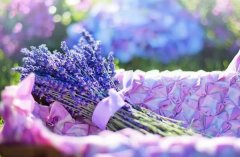 苏珊米勒2022年7月天蝎座运势