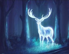 苏珊米勒2022年8月金牛座运势