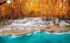 苏珊米勒2022年9月狮子座运势