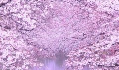 星座2022年10月3日到9日一周运势