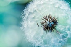 苏珊米勒2022年10月处女座运势