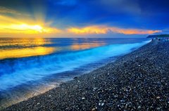 苏珊米勒2022年10月狮子座运势