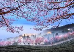 苏珊米勒2022年10月摩羯座运势