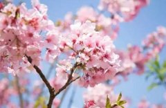 苏珊米勒2022年10月水瓶座运势