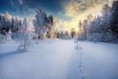 苏珊米勒2022年10月金牛座运势