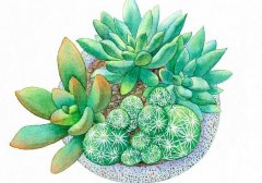 <b>对面楼房施工风水冲煞</b>