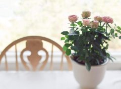 <b>周易家居风水详解</b>