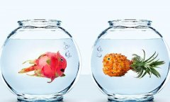 <b>住宅风水搬家事宜</b>