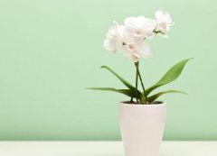 <b>住宅的风水怎样调顺步骤</b>