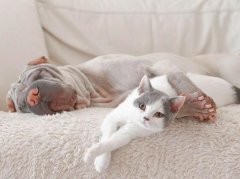 <b>住宅风水中水的解释很玄妙</b>