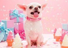 <b>如何风水定位左青龙右白虎</b>