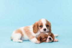 <b>住宅外形风水吉与凶</b>