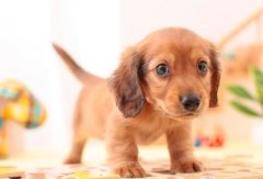 <b>影响感情的风水</b>