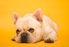 <b>如何避免客厅十大忌</b>