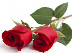 <b>走廊灯风水注意事项</b>