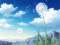 苏珊米勒2022年11月双子座运势