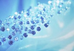 苏珊米勒2022年11月白羊座运势