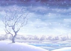 苏珊米勒2022年11月射手座运势