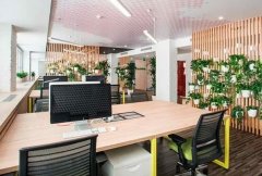 属鼠(生肖鼠)办公桌最佳方位