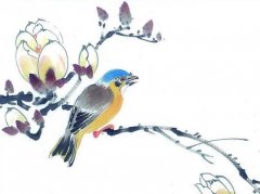 从易经角度选择车牌号码