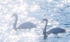 星座2022年12月4日到10日一周运势