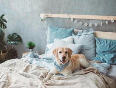 影响感情的主卧室风水禁忌