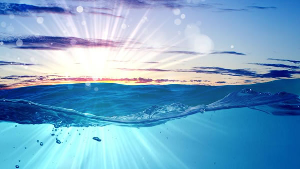 狮子座2023年运势详解_2023狮子座全年运势完整版