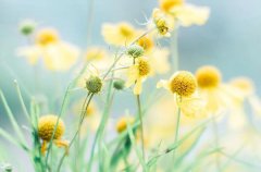 星座2022年12月25日到2023年1月1日一周运势