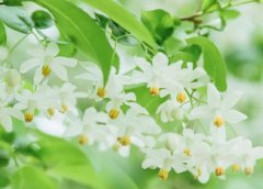 星座2023年2月12日到18日一周运势