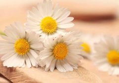 星座2023年3月5日到11日一周运势