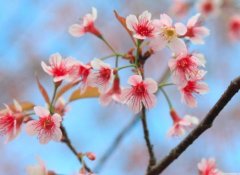 星座2023年4月23日到29日一周运势