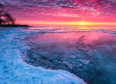 苏珊米勒2023年5月水瓶座运势