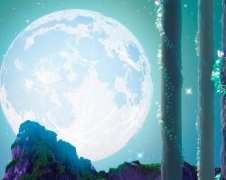 苏珊米勒2023年5月狮子座运势