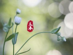 立春节气相关谚语