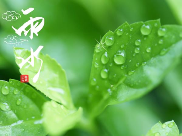 雨水是什么时候?雨水是几月几日