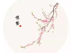 惊蛰节气相关谚语