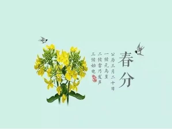 春分养生食谱,春分养生吃什么?