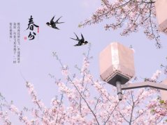 春分是什么意思