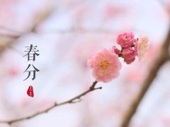 春分节气相关谚语