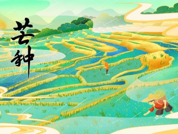 芒种养生食谱,芒种养生吃什么?