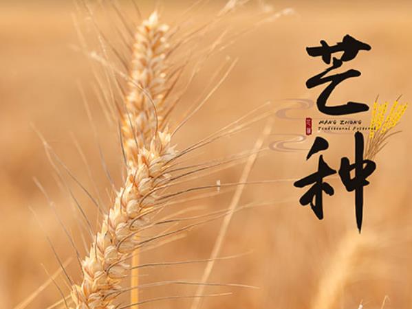 芒种习俗,民间在芒种时都有哪些习俗?