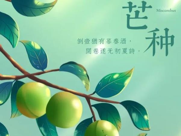 芒种是什么意思