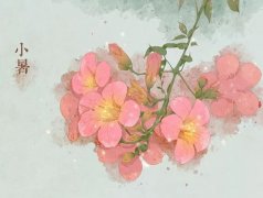 小暑是什么时候?小暑是几月几日