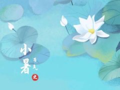 小暑节气相关谚语