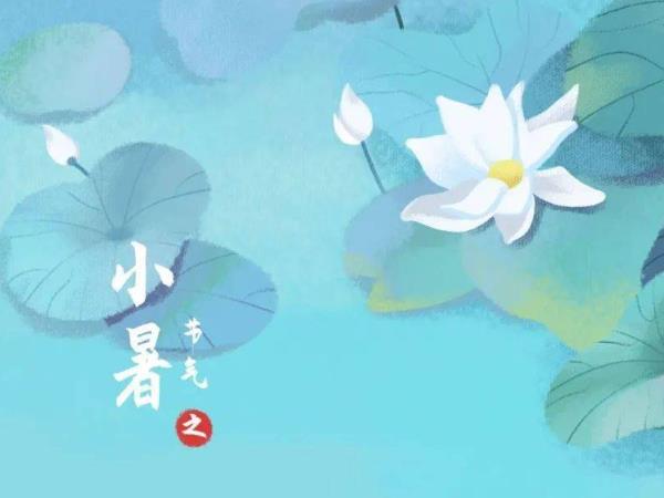 小暑节气相关谚语