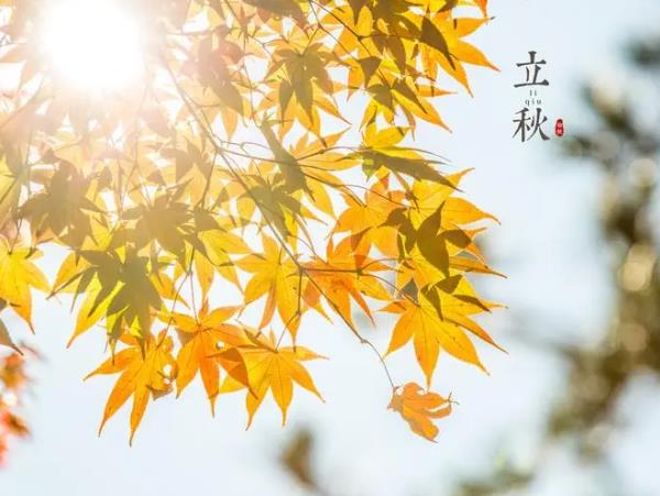 立秋习俗,民间在立秋时都有哪些习俗?