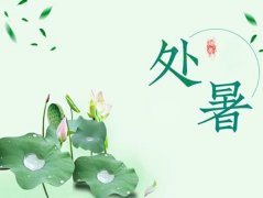 处暑是什么时候?处暑是几月几日