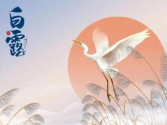 白露养生食谱,白露养生吃什么?