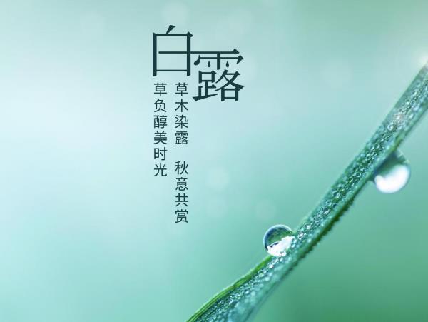 白露习俗,民间在白露时都有哪些习俗?