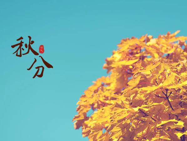 秋分养生食谱,秋分养生吃什么?